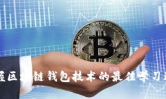 掌握区块链钱包技术的最佳学习途径